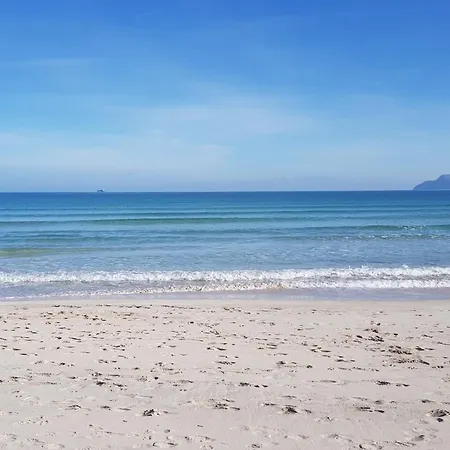 Ideal Property Mallorca - Veuremar * Alcanada